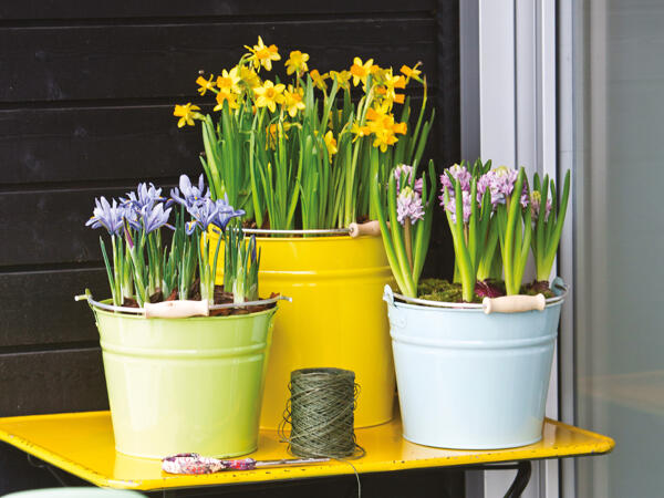 Blomsterløg