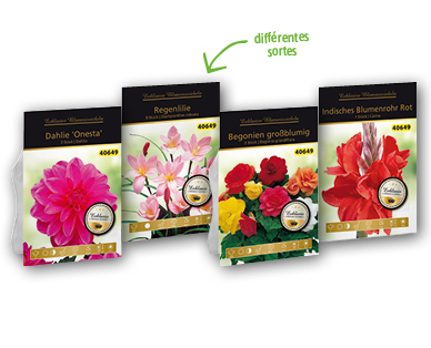 Bulbes à fleurs exclusives