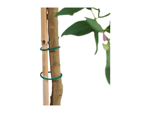Parkside Growing Accessories Assortment