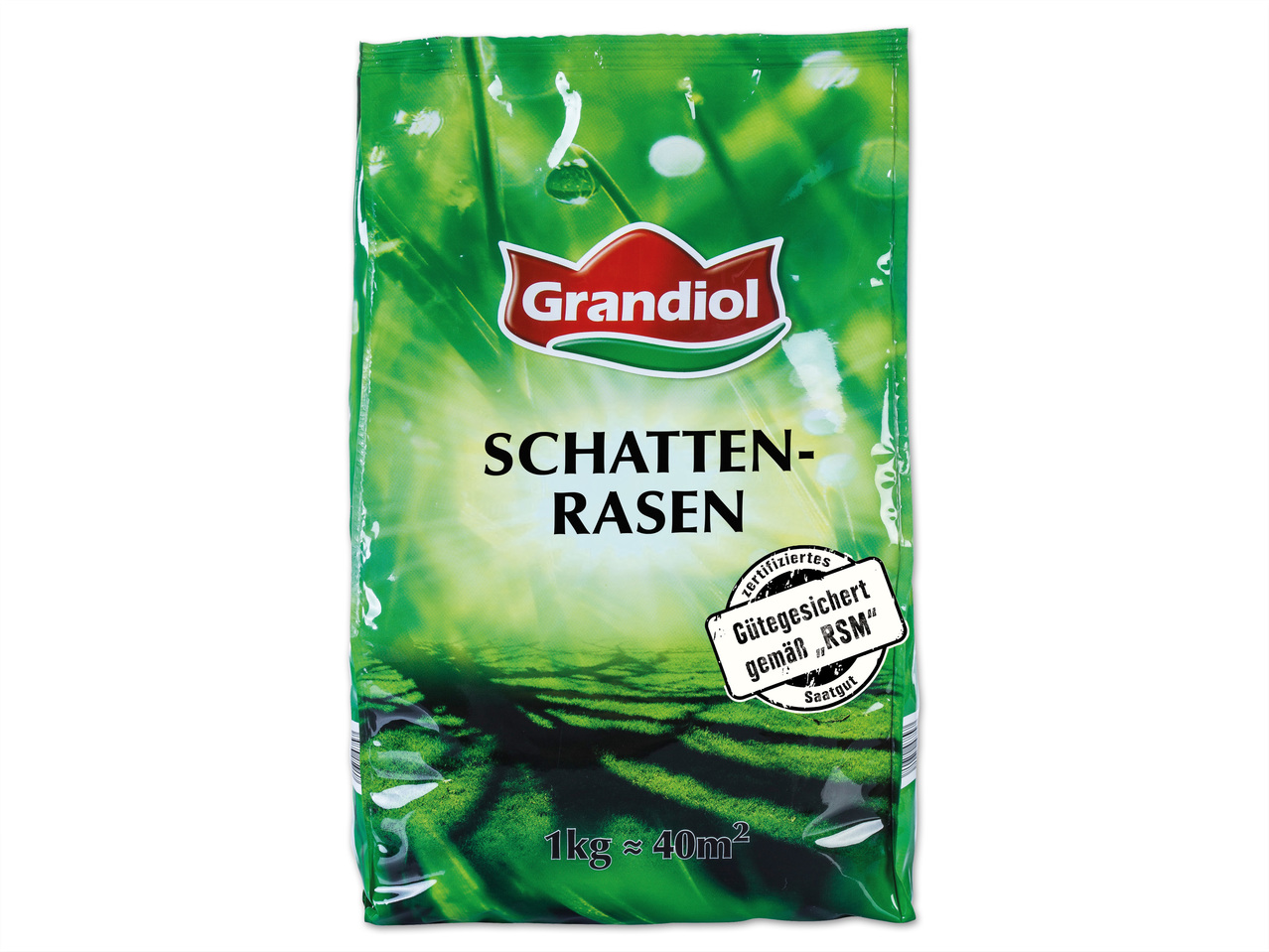 Schattenrasen