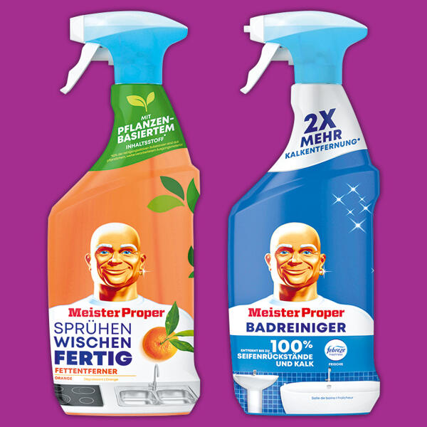 Reiniger