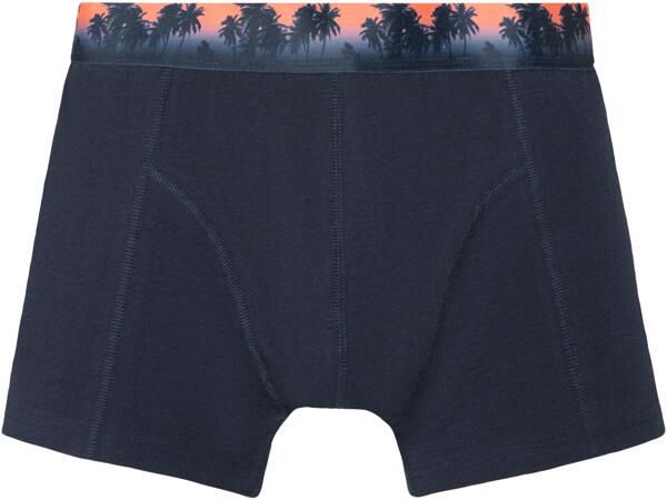 Men's Boxer Briefs