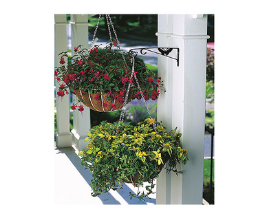 Gardenline Plant Bracket or Caddy