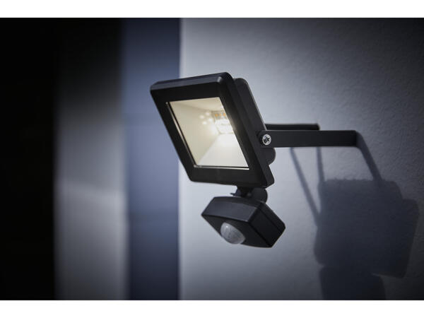 LED Outdoor Light