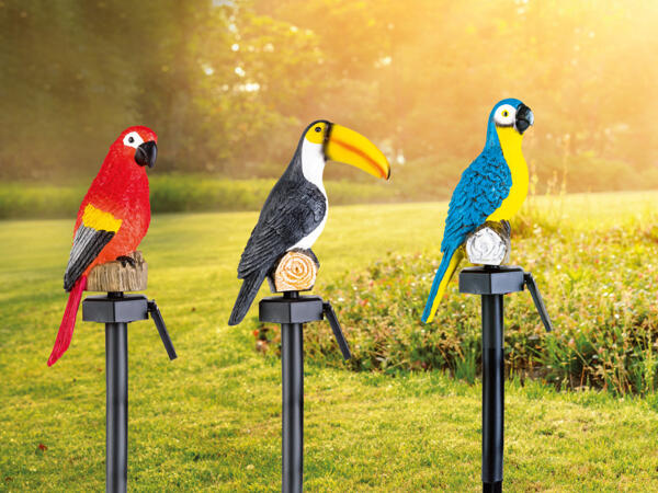 Decorative Solar Light
