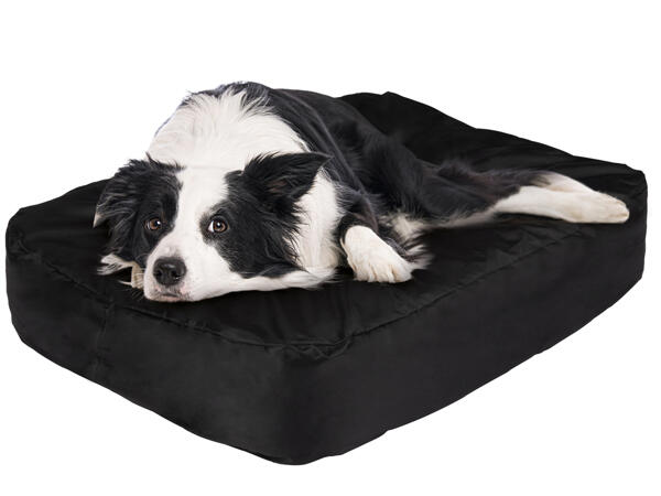 Inflatable Dog Bed