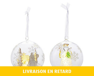 BOULE DE NOËL LED