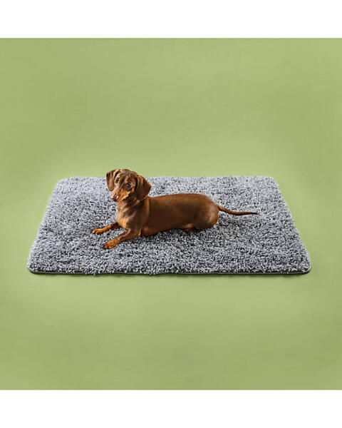 Pet Rug
