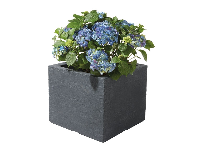 Florabest Square Planter