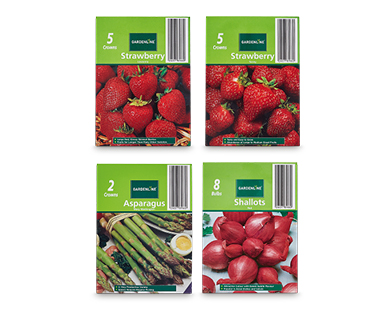 Packet Bulbs