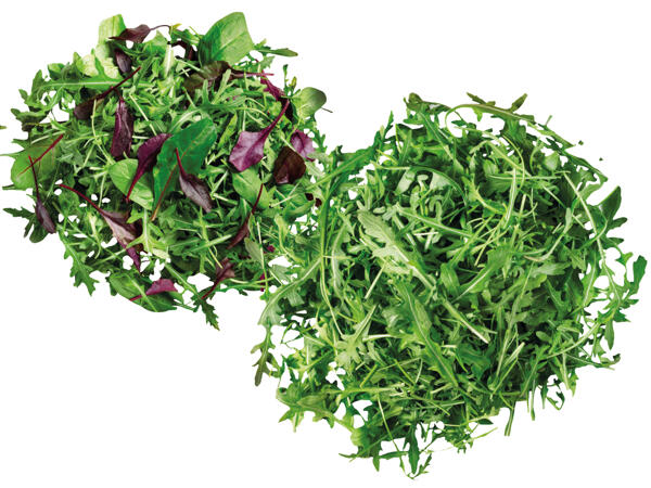 Rucola oder Mix Salat