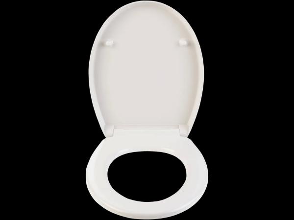 Thermoplast Toilet Seat