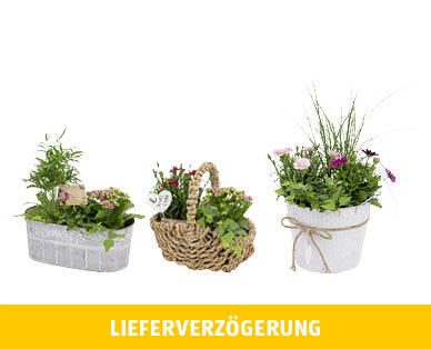MUTTERTAGS-ARRANGEMENT