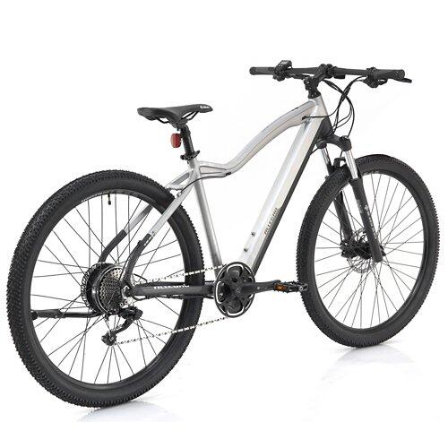 ALLEGRO Invisible E-MTB AXIM°03 19", Steel