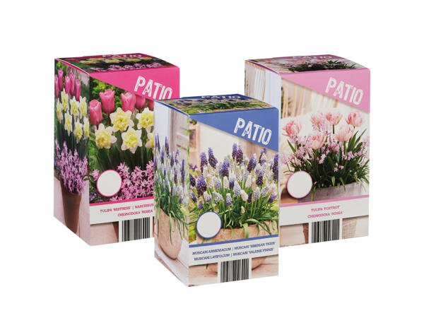 Bulb Mix
