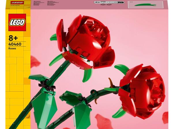 Constructions "Flowers"