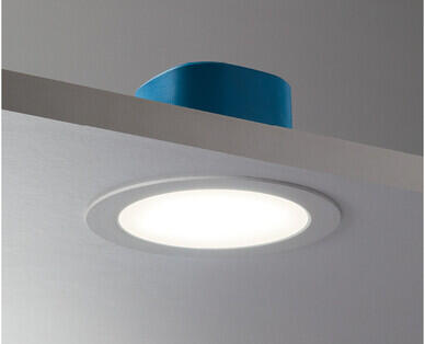 Smart LED Downlight