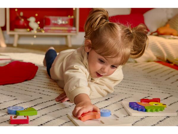 Wooden Puzzle