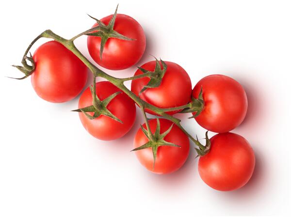 XXL Cherry Vine Tomatoes