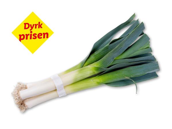 Danske porrer