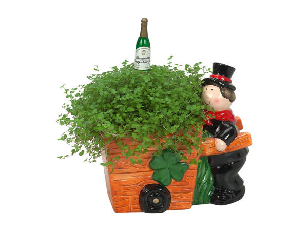 Green plants in decorated vase