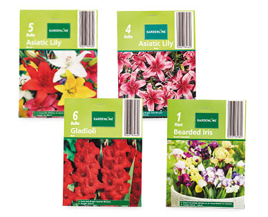 Packet Bulbs