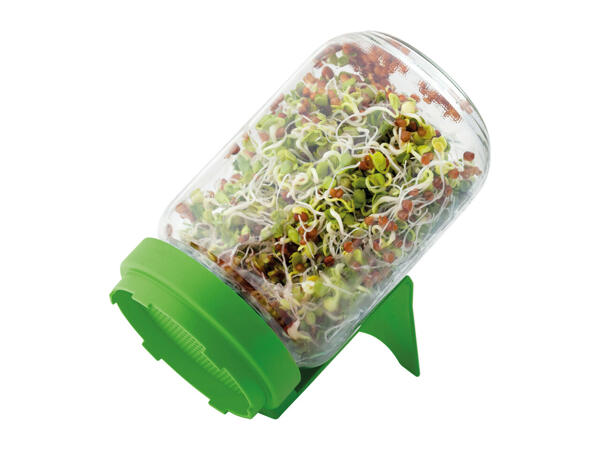 Romberg Cress Growing Set or Sprouting Glass