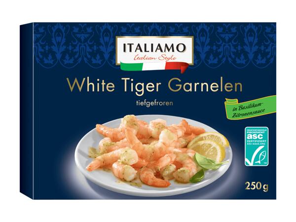 ASC White Tiger Garnelen