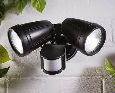Twin Security Light