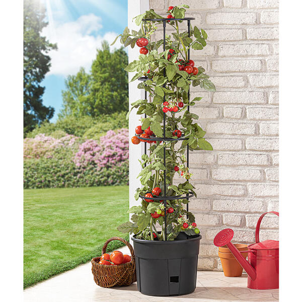 Tomatenturm