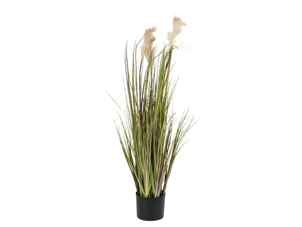 Artificial Plant