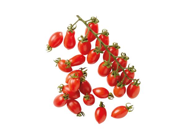 Datterino Tomatoes