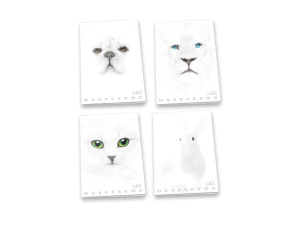 Maxi Exercise Book,White
