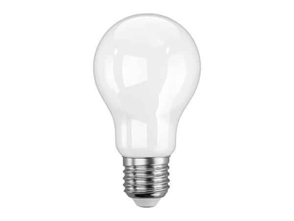 LED Filament Bulbs