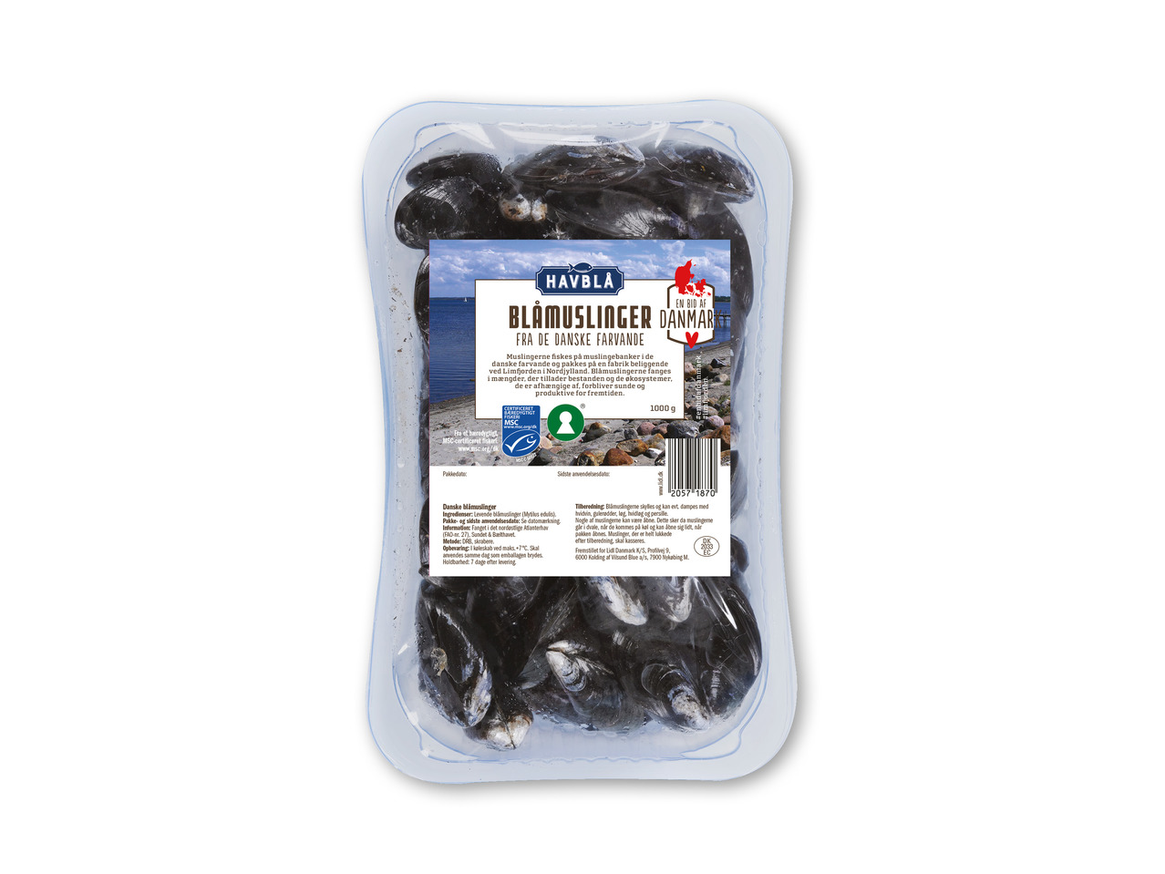 HAVBLÅ Blåmuslinger
