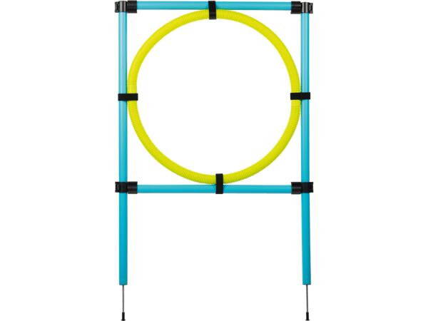 Dog Agility Set