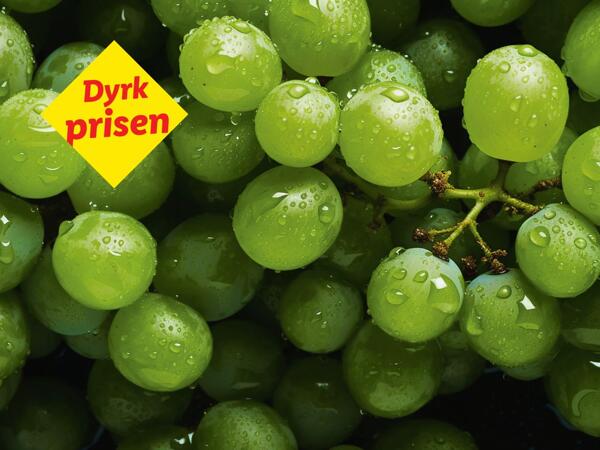 Grønne kernefri vindruer