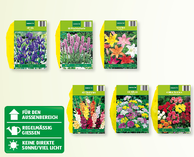 GARDENLINE(R) Blumenzwiebeln