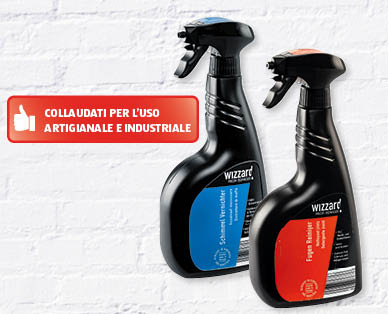 Detergenti professionali WIZZARD