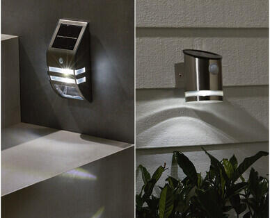 Solar Step or Wall Light
