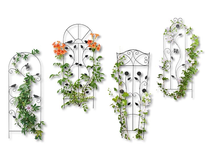 Treillage pour plantes grimpantes