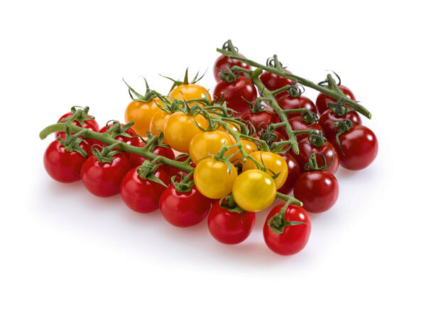 Mélange de tomates cerises