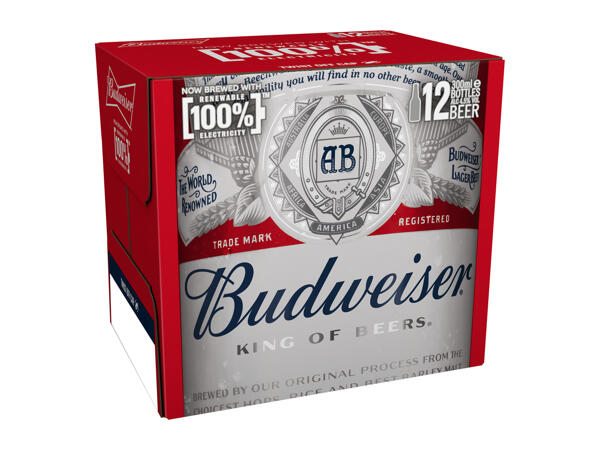 Budweiser Beer