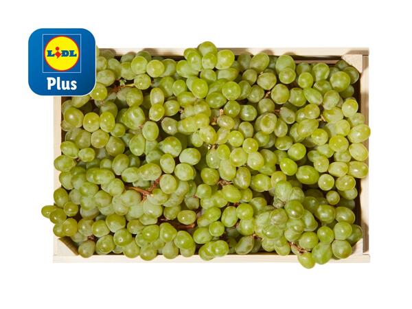 Raisin blanc