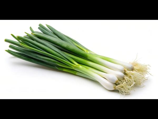 Oignons de printemps
