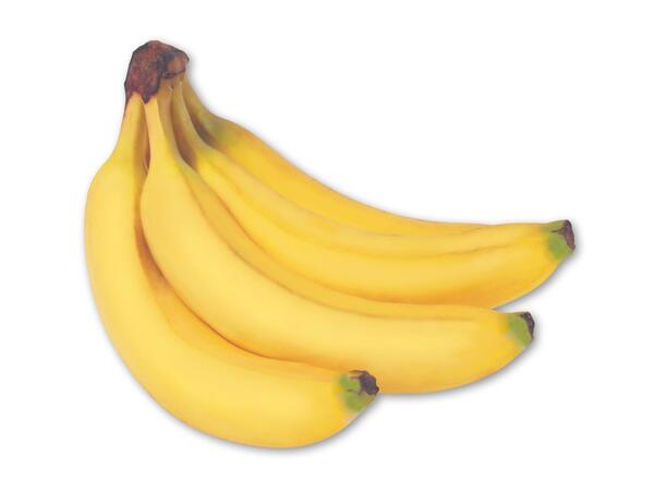 Rainforest-banan