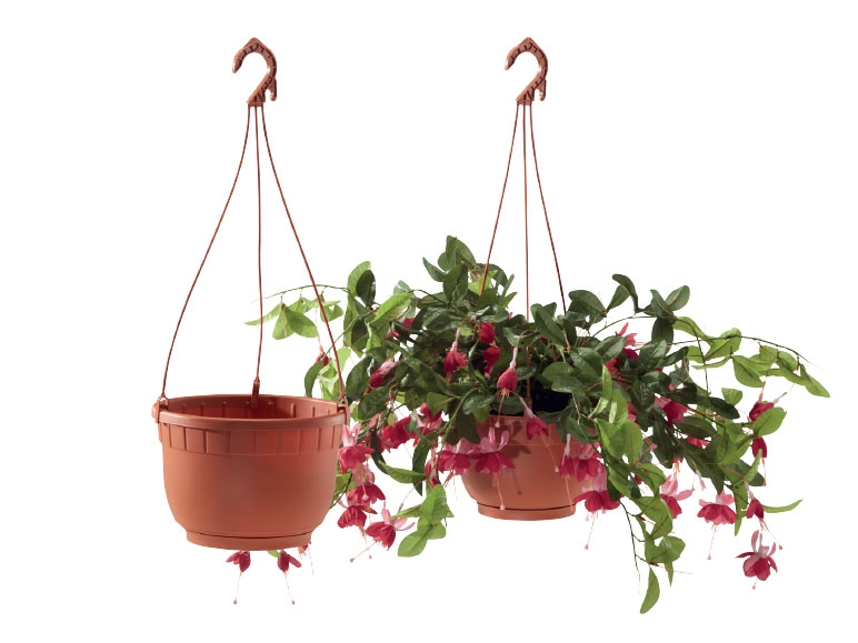 FLORABEST Hanging Baskets or Plant Pot