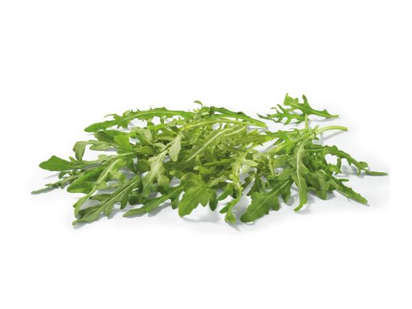 RUKOLA