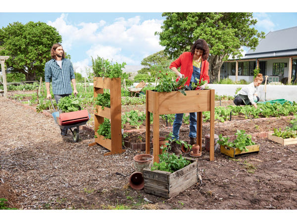 Raised Planter