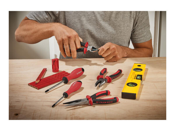 Parkside Side Cutters/Combination Pliers/ Long Nose Pliers/ Carpenter's Pencils/ Level/ Cross-Slotted Screwdrivers